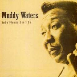 Muddy Waters : Baby Please Don't Go